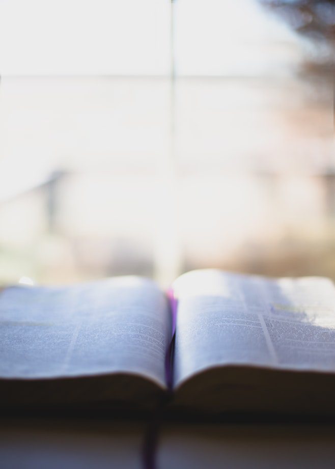Bible Studies