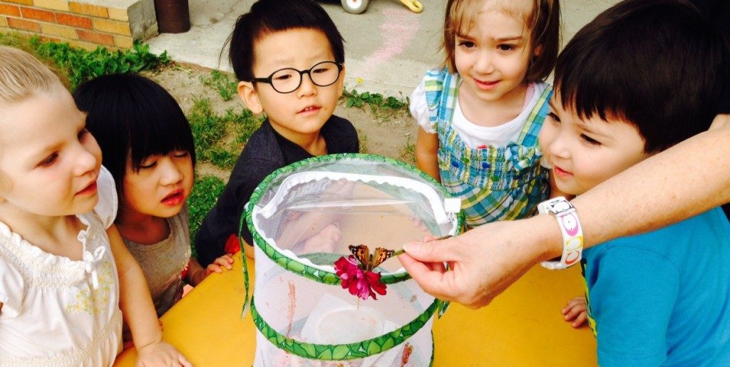 five preschoolers looking at a butterfly on a flower.